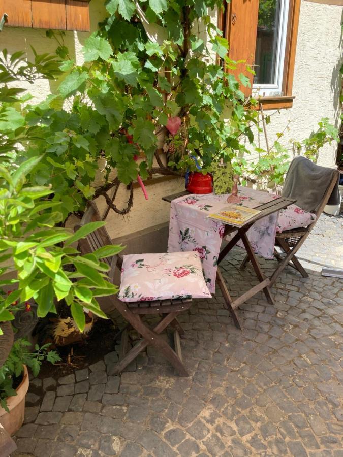 Tante Berg B&B Bad Vilbel Exteriör bild