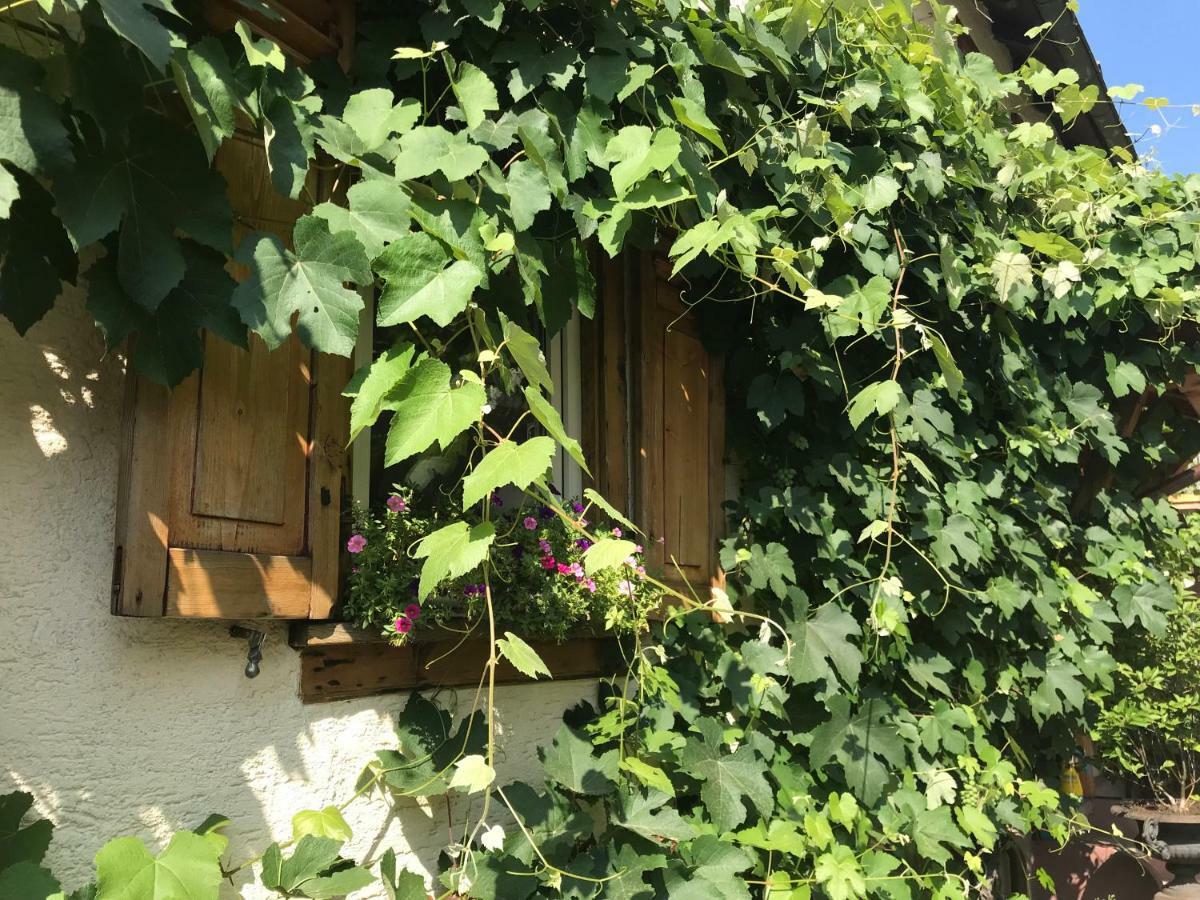 Tante Berg B&B Bad Vilbel Exteriör bild